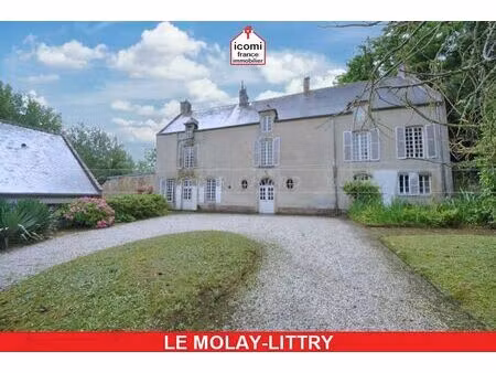 vente commerce 10 pièces 350 m² le molay-littry (14330)