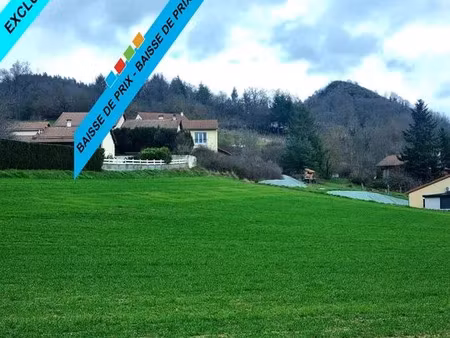vente terrain 1550 m² rosières (43800)