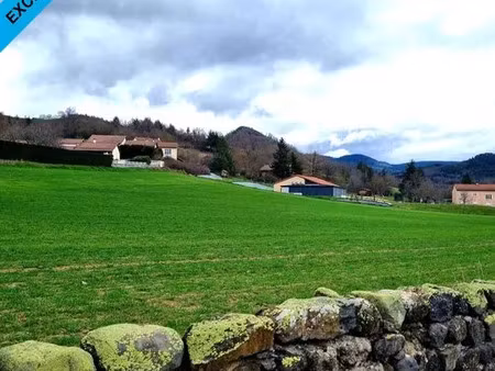 vente terrain rosières (43800)