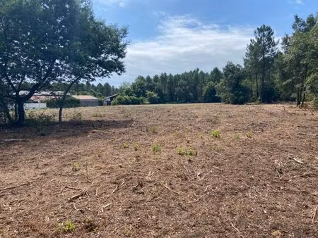 vente terrain 655 m² pontenx-les-forges (40200)