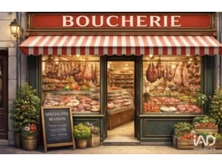 murs commerciaux à caissargues (30132)