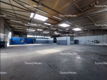 local d'activites a louer