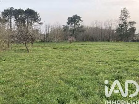 vente terrain à landiras (33720) : à vendre / 750m² landiras