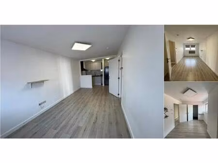 bureaux à louer à rue du capitaine 3 montignies-sur-sambre (vbd95922)
