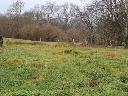 vente terrain 794 m² asques (33240)