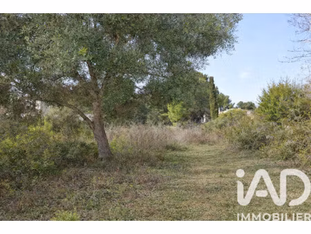 vente terrain à poussan (34560) : à vendre / 2716m² poussan