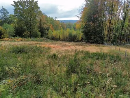 terrain à vendre à neuville (à droite du n°10) stoumont (vbd95561)