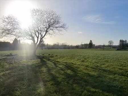 en campagne terrain a batir viabilise parigne -