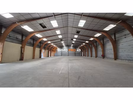 location locaux professionnels 3000 m² à montaigu-vendée (85600)  9 300 €