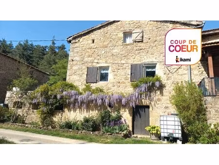 maison en pierre avec terrasse  cave voûtée et terrain de 2 700m2