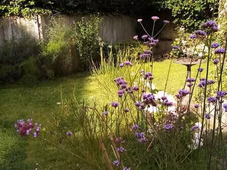 maison 3 façades à wavre avec jardin