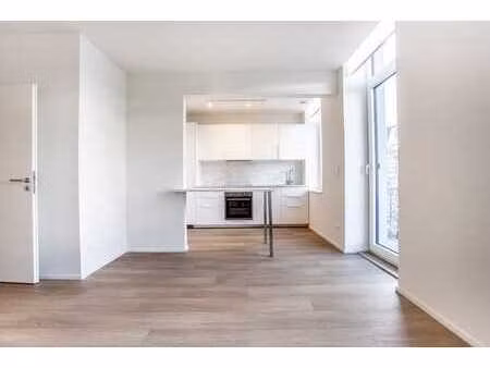 appartement 1 ch. moderne  cuisine équipée  balcon
