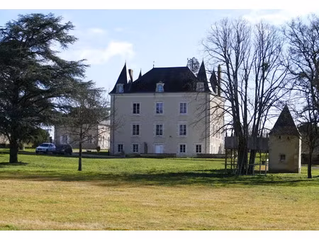 vente manoir 450 m² à montmorillon (86500)  895 000 €