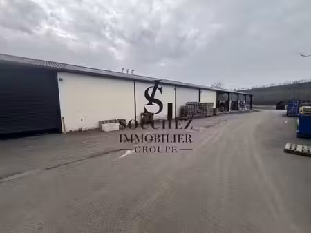 souchez immobilier