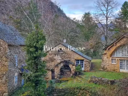 vente propriété 10 pièces 184 m² à ispagnac (48320)  550 000 €
