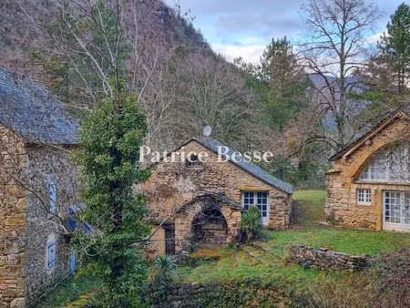 vente propriété 10 pièces 184 m² à ispagnac (48320)  689 000 €