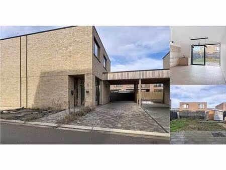 maison à vendre avec terrasse et jardin   maaseik (vbd95853)