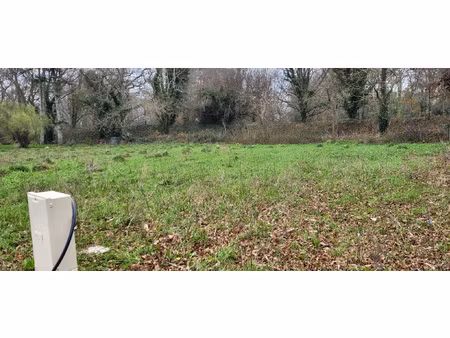 paimpol  exclusivité  terrain à bâtir  viabilisé  1045 m2