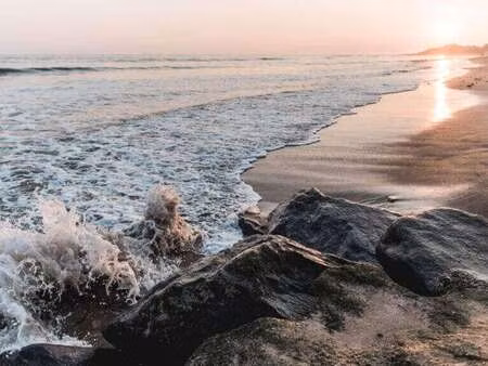 vente terrain à angles (85750) : à vendre / angles