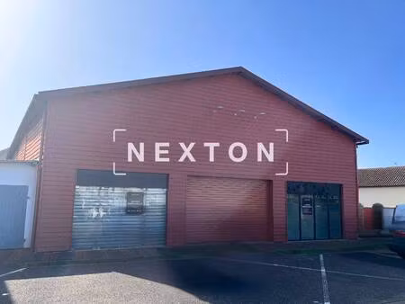 nexton immobilier