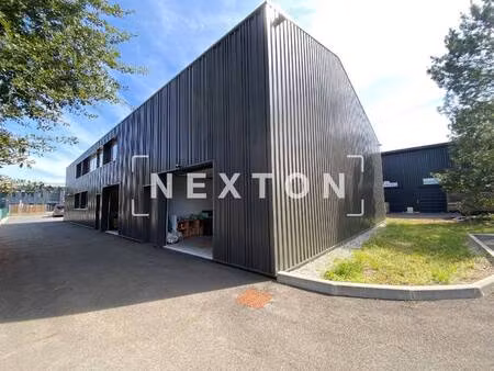 nexton immobilier
