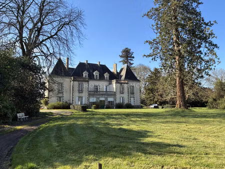vente château 10 pièces
