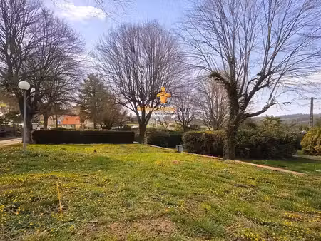 terrain plat arboré a 5mns de lourdes