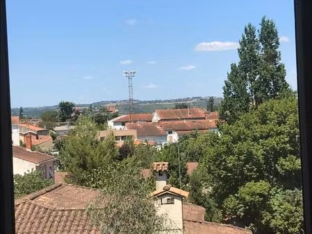 location appartement 1 pièce 28 m² à albi (81000)