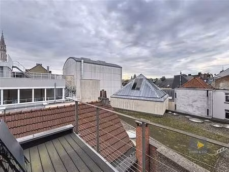 appartement duplex 1 ch + terrasse