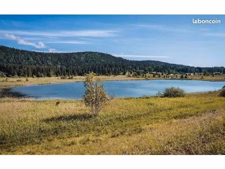 recherche location appartement