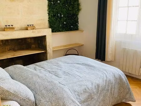 appartement meublé hyper centre tours