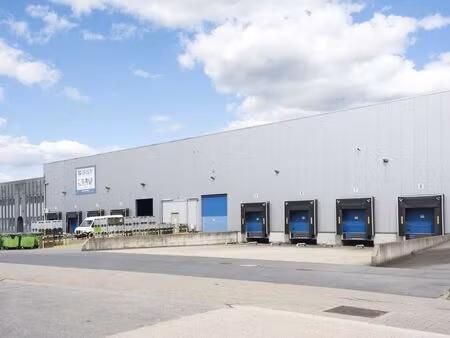 bien professionnel à louer à zele (l97ch) - the real estate company | zimmo