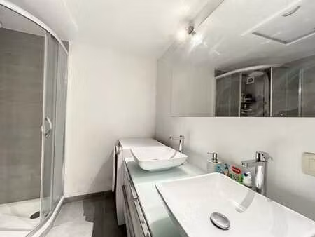 prox petillon - lumineux et spacieux avec 2 terrasses