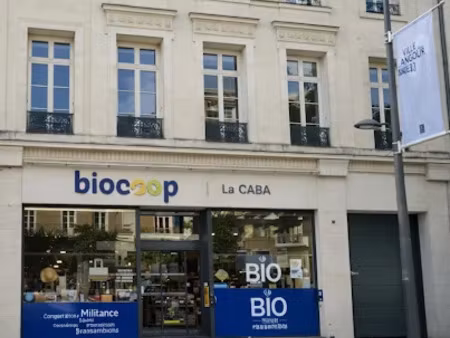 vente locaux professionnels 10 pièces 539 m² à angers (49000)  1 649 000 €