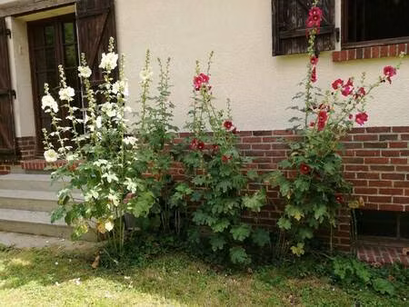 propriétaire particulier