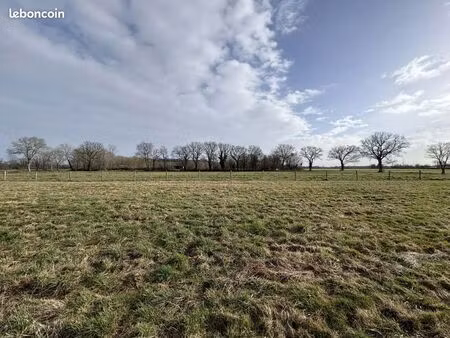 terrain 64917 m² tendu