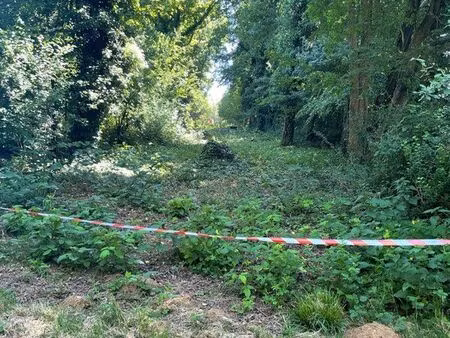 à vendre  terrain agricole