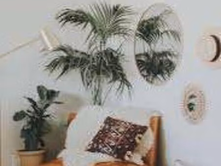 co location 300 chacun sur la rue st fuscien