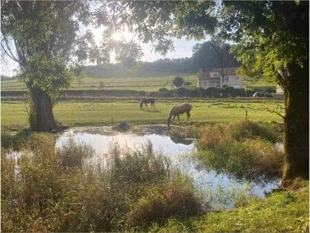 place pension hongre - proche luxembourg