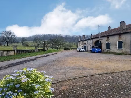 axe vezelise / gironcourt-sur-vraine - 2 maisons de village avec dépendances à rénover / 1
