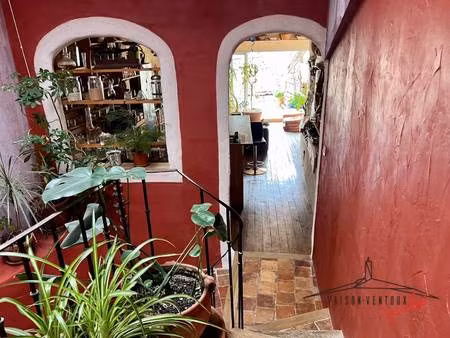 vaison ventoux immobilier