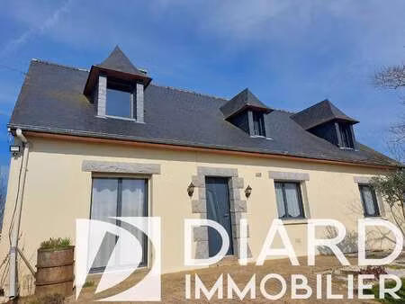 vente maison au pertre (35370) : à vendre / 131m² le pertre