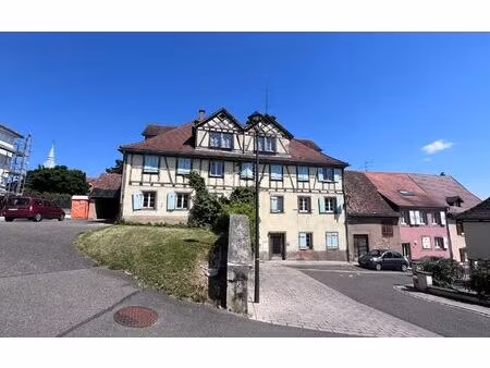 immeuble hochfelden 400 m² t-12 à vendre  365 000 €
