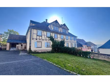 immeuble hochfelden 413.93 m² t-12 à vendre  365 000 €