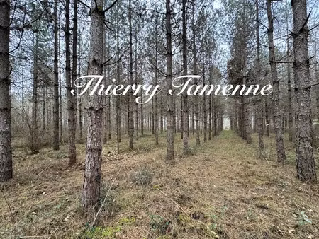 vente terrain à barbaste (47230)  37 500 €