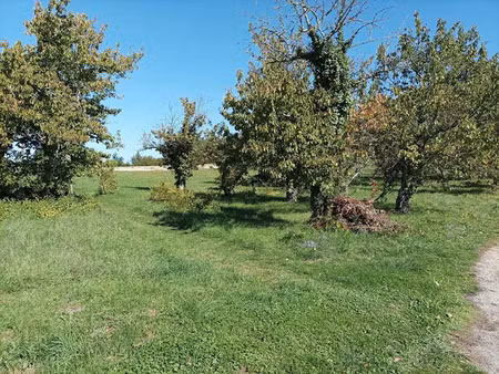 vente terrain 1628 m² à saint-vincent-rive-d'olt (46140)  39 000 €