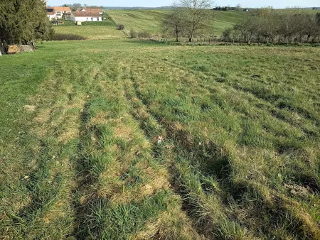vente terrain à batir 3042 m² à la neuveville-sous-châtenois (88170)  31 000 €