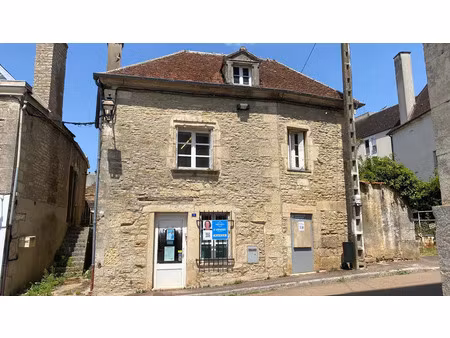 vente local industriel 7 pièces 150 m² l’isle-sur-serein (89440)