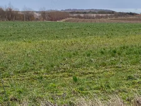 vente terrain 900 m² à frencq (62630)  70 000 €