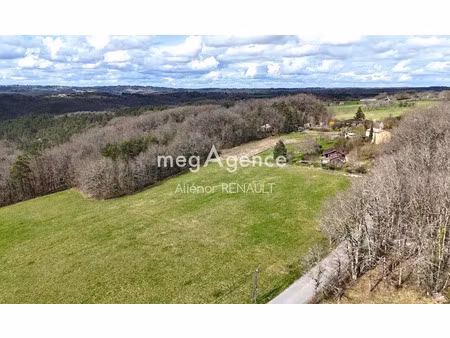 vente terrain 8576 m² à plazac (24580)  65 000 €